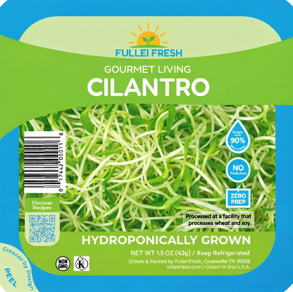 Cilantro Sprouts